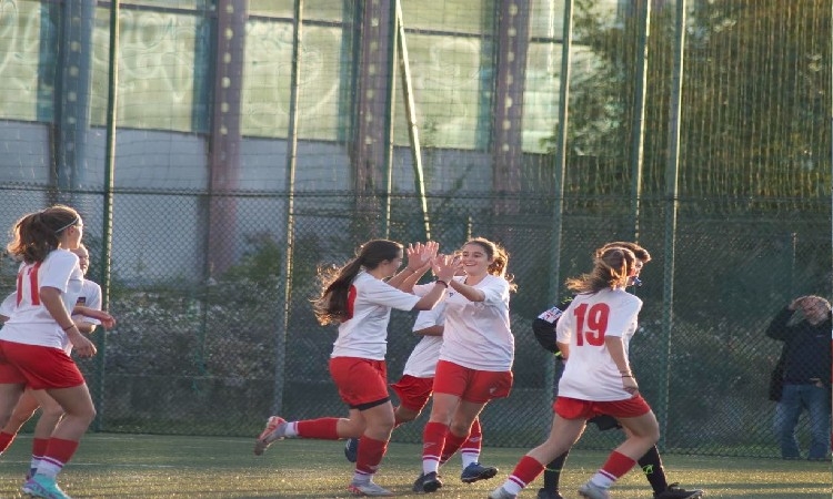 Serie B: ufficializzate il numero delle partecipanti e i nomi delle  formazioni iscritte al torneo 23-24 - Calcio femminile italiano