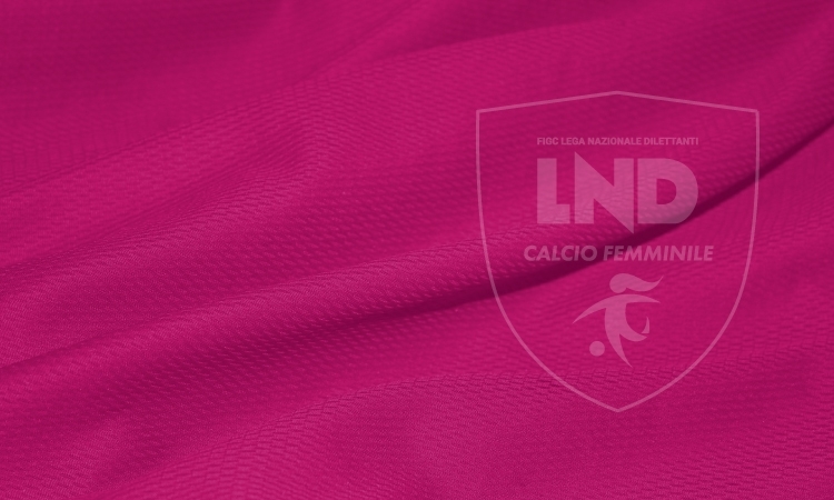 Dipartimento Calcio Femminile: insediamento del Consiglio