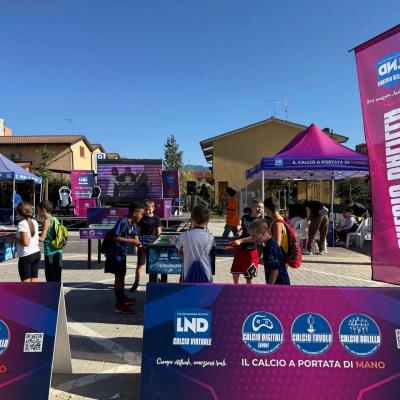 Vivilosport 2025 2 00009