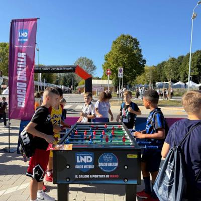 Vivilosport 2025 2 00012