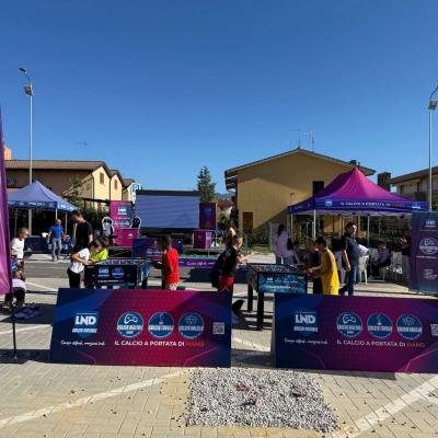 Vivilosport 2025 2 00013